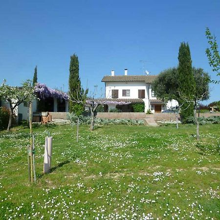 Villa DolcevitaSan Costanzo エクステリア 写真