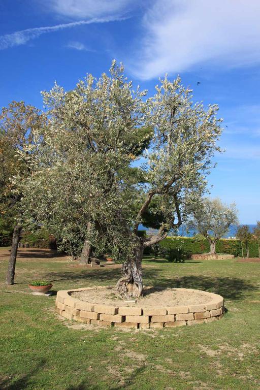 Villa DolcevitaSan Costanzo エクステリア 写真